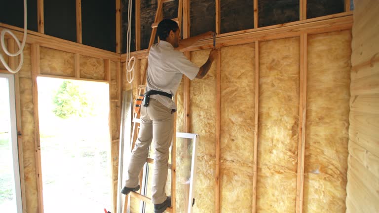 Types of Insulation We Offer in Prairieville, LA